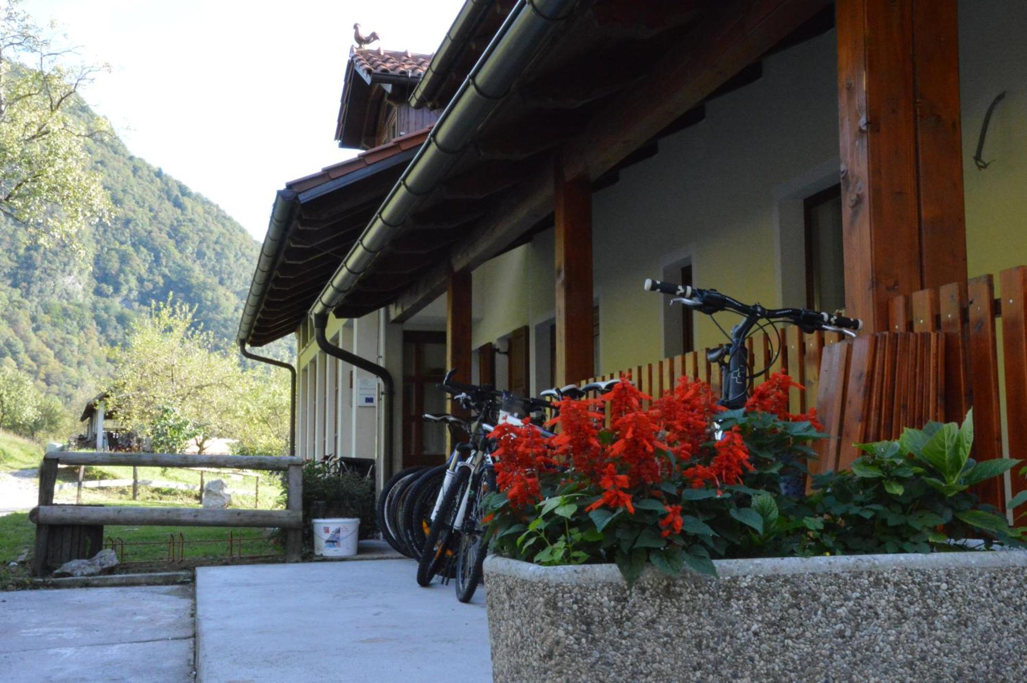 托尔明Tourist Farm Pri Kafolu别墅 客房 照片