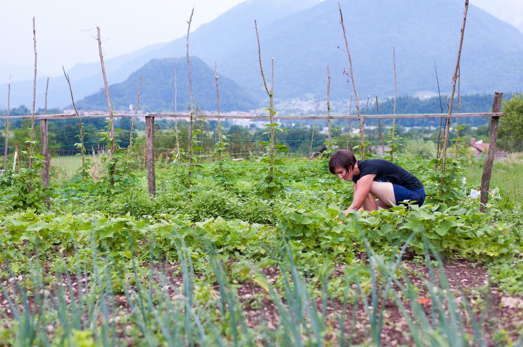 托尔明Tourist Farm Pri Kafolu别墅 外观 照片
